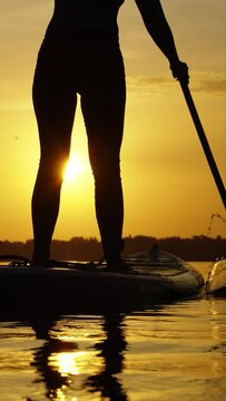Vertical Screen: Slow motion silhouette of woman paddling on SUP board on river at sunset. Back view female boarder enjoying water sports in beautiful landscape. Summer activities. Concept of fitness
