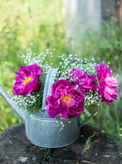 Blumenstrauß mit pinken Pfingstrosen und Schleierkraut, frische Blumen dekoriert in einer alten Vintage Gießkanne aus Metall, Landhaus Dekoration, Bauerngarten