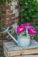 Blumenstrauß mit pinken Pfingstrosen und Schleierkraut, frische Blumen dekoriert in einer alten Vintage Gießkanne aus Metall, Landhaus Dekoration, Bauerngarten