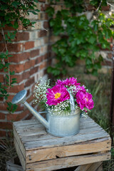 Blumenstrauß mit pinken Pfingstrosen und Schleierkraut, frische Blumen dekoriert in einer alten Vintage Gießkanne aus Metall, Landhaus Dekoration, Bauerngarten