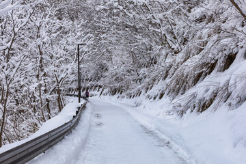 it's snowing in winter at Takayama,Gifu,Japan