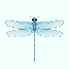 Cute blue dragonfly art. Flat vector insect illustration