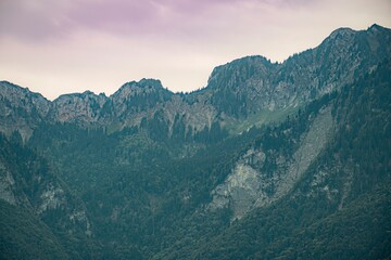 Obraz premium landscape in the beautiful morning