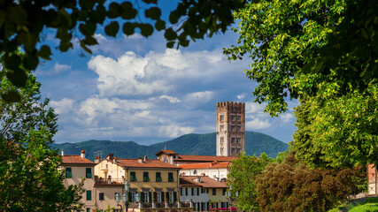 Lucca charming historical center with San Frediano (St Fredianus) medieval bell towers seen from city ancient walls public park - obrazy, fototapety, plakaty