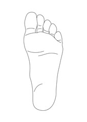 人体 パーツ 足の裏 線画  肌 爪  片足 透過 png 背景透明