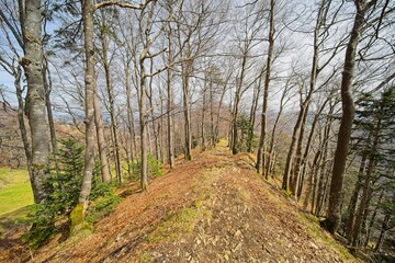 ridge hike on the vogelberg in the canton of solothurn in switzerland. 