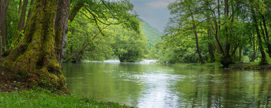 Panoramic image of a foggy river landscape