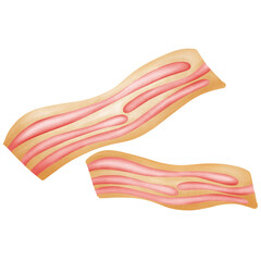 Obraz na płótnie Canvas Duo slice bacon illustration