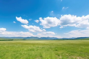 Fototapeta na wymiar Serene Panoramic Landscape: Green Grass Field, Blue Sky, and Majestic Mountains