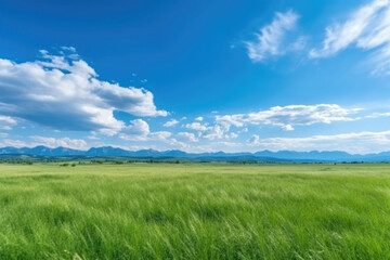 Serene Panoramic Landscape: Green Grass Field, Blue Sky, and Majestic Mountains