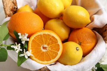 Basket of oranges and lemons with blooming branch on white table