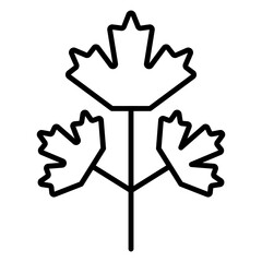 Illustration of Maple Leaves design Line Icon