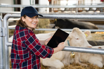 Woman farmer with tablet at a dairy farm. Herd management	