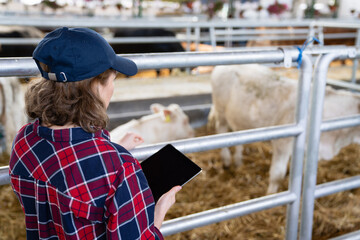 Woman farmer with tablet at a dairy farm. Herd management	