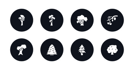 symbol for mobile filled icons set. filled icons such as yellow birch tree, shagbark hickory tree, honey-locust tree, black cherry northern red oak white spruce balsam fir hawthorn vector.