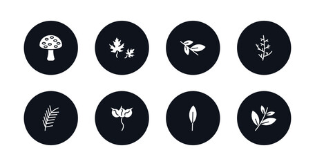 symbol for mobile filled icons set. filled icons such as amanita, dry leaf, willow leaf, cypress leaf, pine cuspicate, magnolia black willow vector.