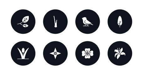 symbol for mobile filled icons set. filled icons such as branch, lemongrass, bird, cypress, reed, gemstone, wallflower, lily vector.