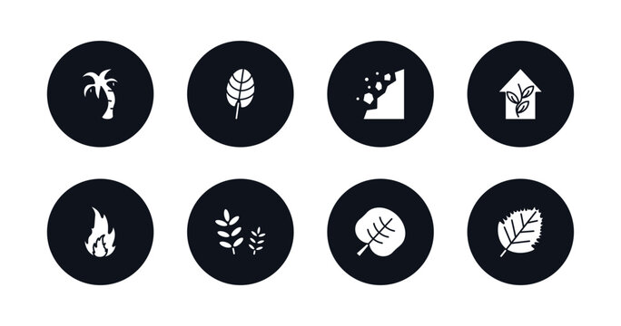 symbol for mobile filled icons set. filled icons such as coconut tree standing, cordate, falling debris, indoor, burning flames, grains, reniform, birch leaf vector.