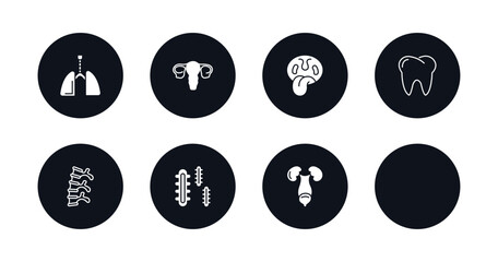symbol for mobile filled icons set. filled icons such as respiratory system, human uterus, tonsil, human teeth, human spine, three bacteria, foot, excretory system vector.