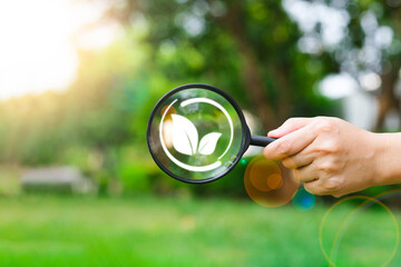 Hand Holding magnifying glass with leaf icon. Against Nature On Green Leaf blur background with copy space. Idea for Saving Energy and Earth Day concept. - Powered by Adobe