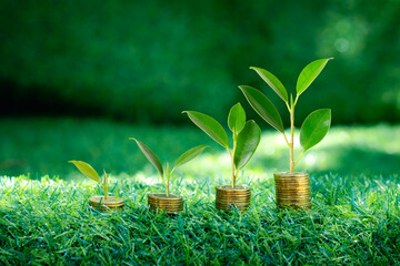 Coins and plants are grown on a pile of coins.Concept for finance and banking. The idea of saving...