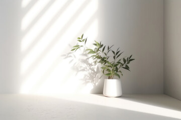 Fototapeta premium Minimalistic Light Background with Blurred Foliage Shadow on a White Wall