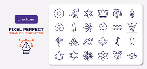nature outline icons set. thin line icons such as petunia, willow,  , hypericum, lavender, wedelia, gladiolus, nymphea vector.