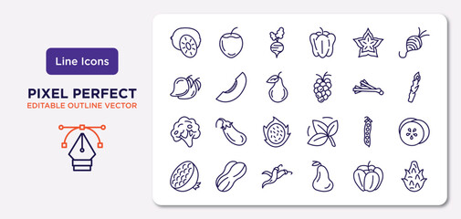 fruits and vegetables outline icons set. thin line icons such as kiwi, carambola, pear, broccoli, peas, chili, paprika, dragon fruit vector.