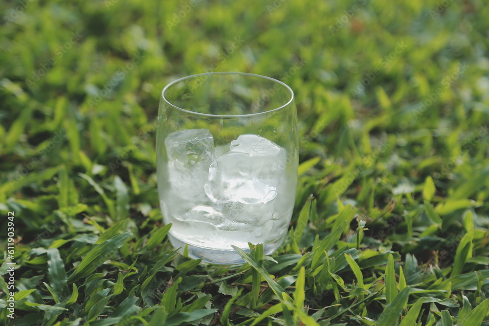 Wall mural a glass of water with ice on nature background...