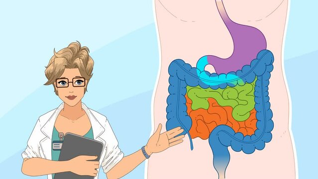 Educational video, educational cartoon. Video for kids.  Doctor explains the structure of the digestive system. Digestive system. Human internal organs. 