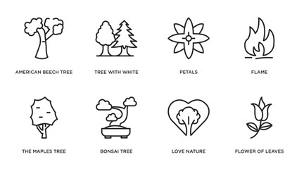 nature outline icons set. thin line icons such as american beech tree, tree with white foliage, petals, flame, the maples tree, bonsai love nature, flower of leaves vector.