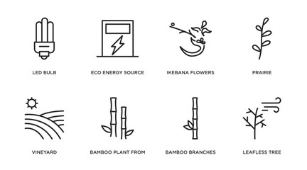 nature outline icons set. thin line icons such as led bulb, eco energy source, ikebana flowers, prairie, vineyard, bamboo plant from japan, bamboo branches, leafless tree vector.