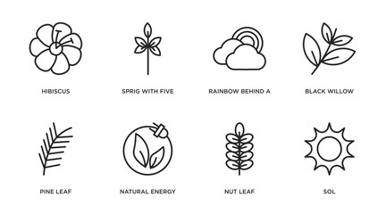 nature outline icons set. thin line icons such as hibiscus, sprig with five leaves, rainbow behind a cloud, black willow, pine leaf, natural energy, nut leaf, sol vector.