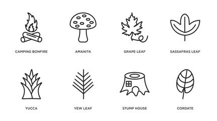 nature outline icons set. thin line icons such as camping bonfire, amanita, grape leaf, sassafras leaf, yucca, yew leaf, stump house, cordate vector.