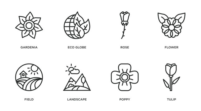 nature outline icons set. thin line icons such as gardenia, eco globe, rose, flower, field, landscape, poppy, tulip vector.