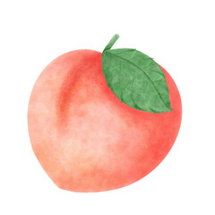 watercolor paint fruit and vegetable with basket