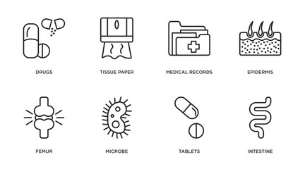 medical outline icons set. thin line icons such as drugs, tissue paper, medical records, epidermis, femur, microbe, tablets, intestine vector.