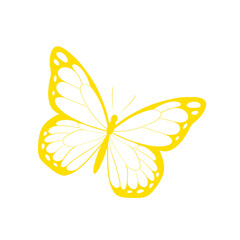 butterfly and flower