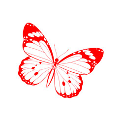 butterfly
