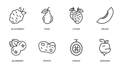 fruits and vegetables outline icons set. thin line icons such as blackberry, pear, lychee, melon, blueberry, potato, durian, radishes vector.