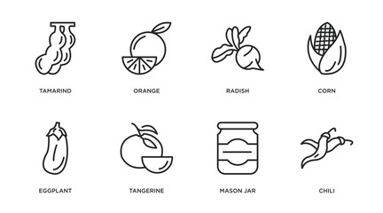 fruits and vegetables outline icons set. thin line icons such as tamarind, orange, radish, corn, eggplant, tangerine, mason jar, chili vector.