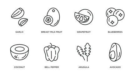 fruits and vegetables outline icons set. thin line icons such as garlic, breast milk fruit, grapefruit, blueberries, coconut, bell pepper, arugula, avocado vector.