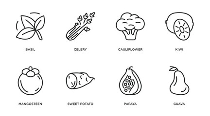 fruits and vegetables outline icons set. thin line icons such as basil, celery, cauliflower, kiwi, mangosteen, sweet potato, papaya, guava vector.