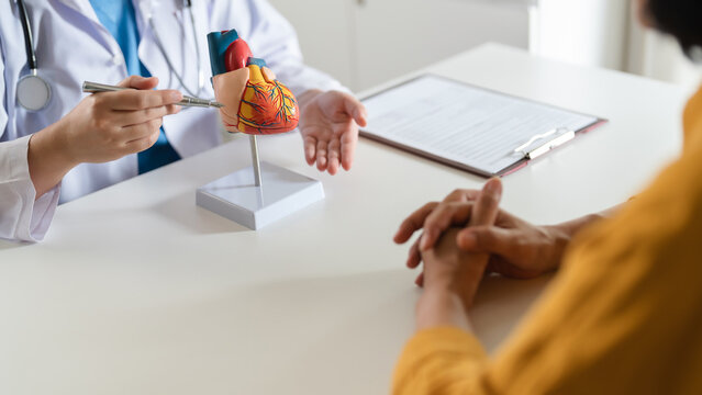 Cardiologist doctor showing anatomical of human heart to patient, heart disease..