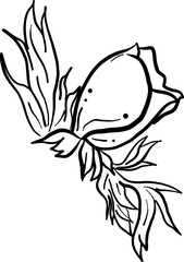 Obraz premium hand drawn sketch of a flower
