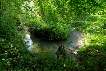 Fototapeta na wymiar Yvette river in Chevreuse valley Regional Nature Park Maincourt-sur-Yvette village