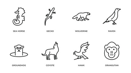 animals outline icons set. thin line icons such as sea horse, gecko, wolverine, raven, groundhog, coyote, hawk, orangutan vector. © IconArt