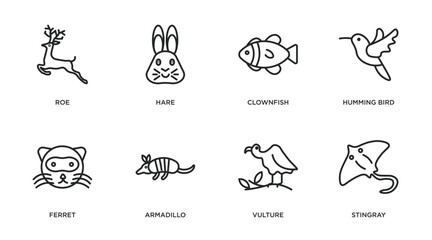 animals outline icons set. thin line icons such as roe, hare, clownfish, humming bird, ferret, armadillo, vulture, stingray vector.