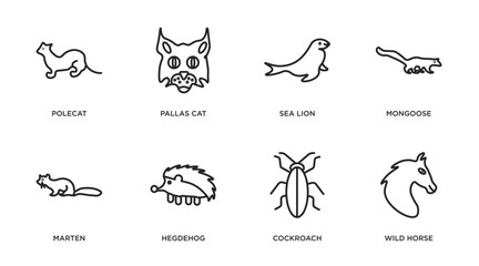 animals outline icons set. thin line icons such as polecat, pallas cat, sea lion, mongoose, marten, hegdehog, cockroach, wild horse vector.