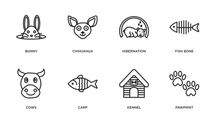 animals outline icons set. thin line icons such as bunny, chihuahua, hibernation, fish bone, cows, carp, kennel, pawprint vector.